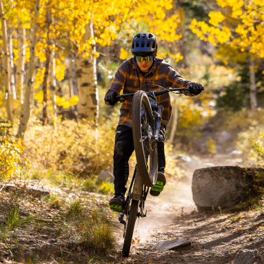 Mountain Biking near Mammoth Lakes